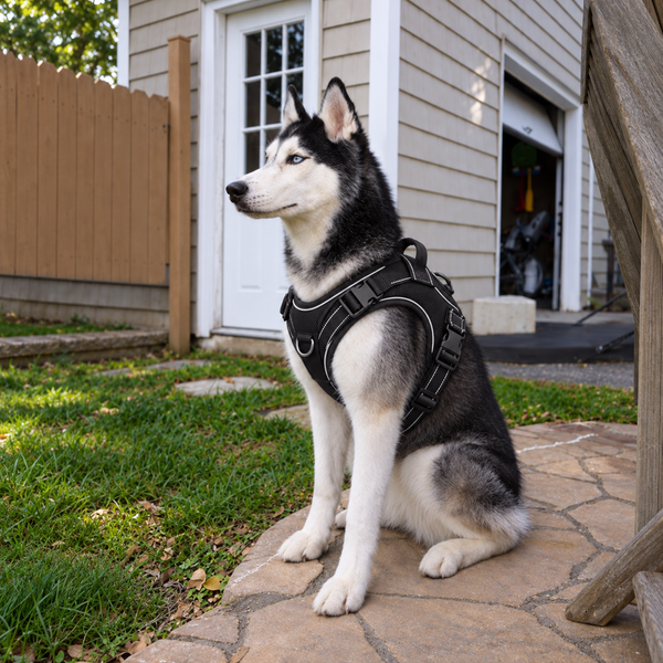 Peitoral SPEEDOGO